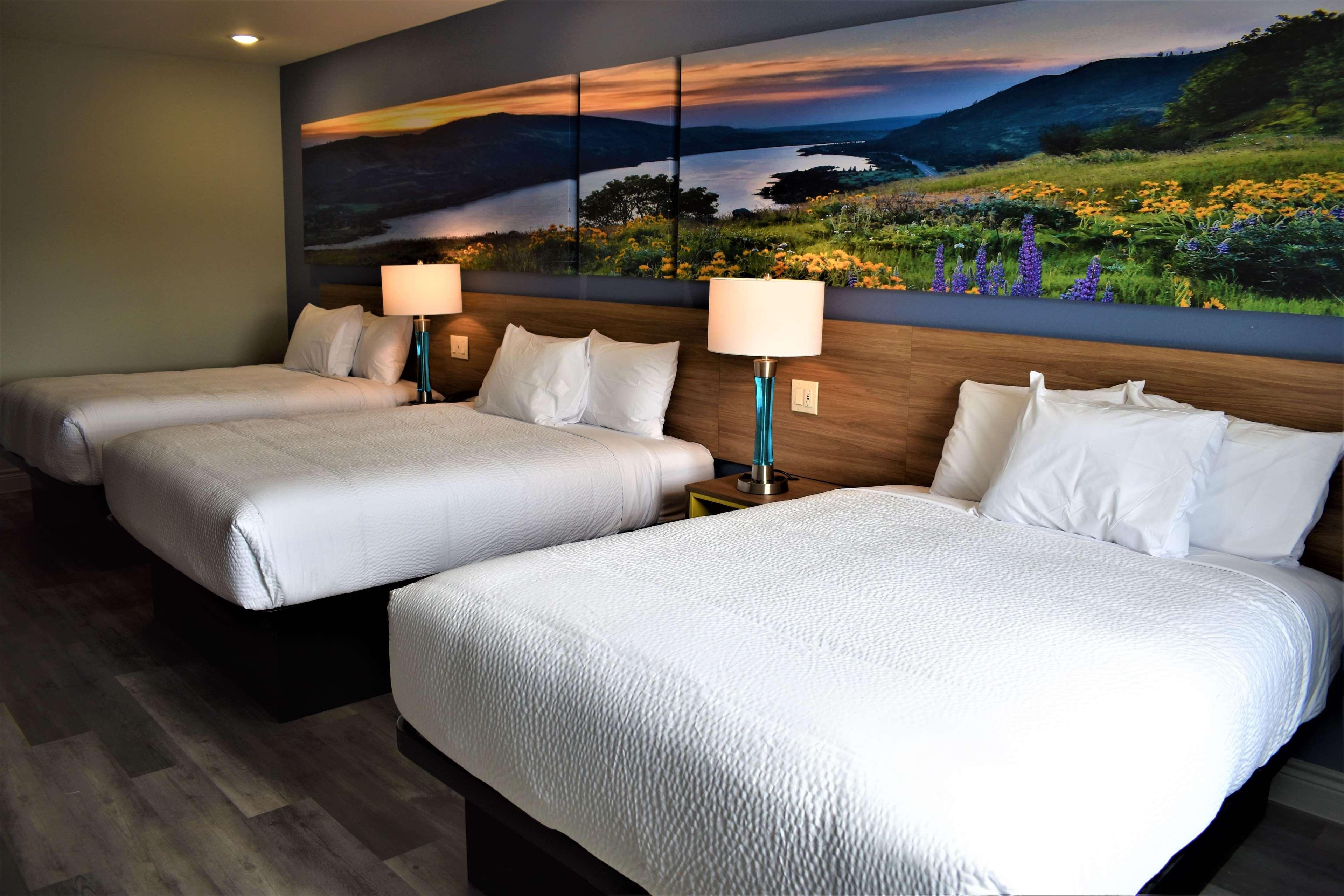 Days Inn & Suites By Wyndham Downtown/University Of Houston Exteriér fotografie